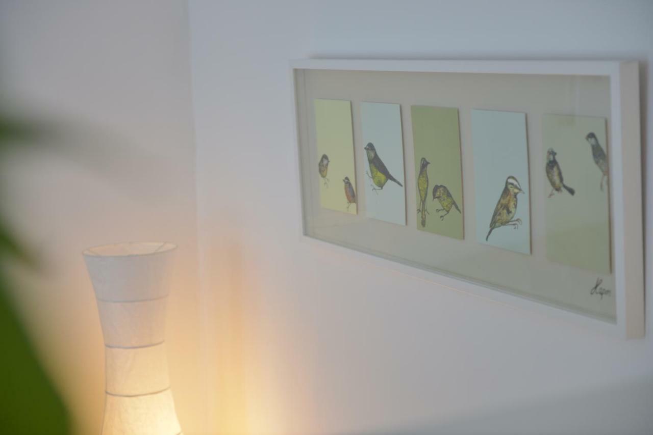 Paulick Apartment Bautzen